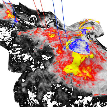 TGS_website_4D_Imaging (1)